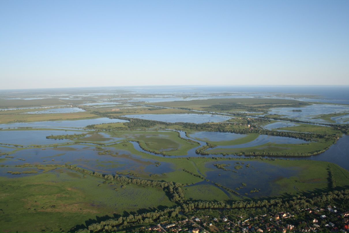 Дмитрий Головачёв фотография #42