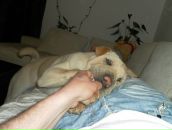 Ростік Худик фотография #32 (источник - https://vk.com/id87017695)