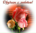 Олечка Новікова фотография #35 (источник - https://vk.com/id152682009)