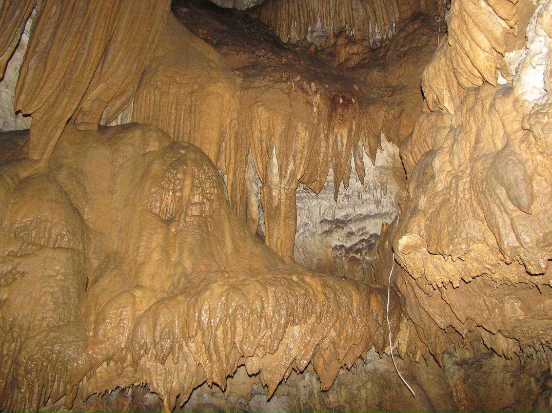 Александр Евсютин фотография #45