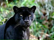 Юлія Юзич фотография #12 (источник - https://vk.com/id124111587)