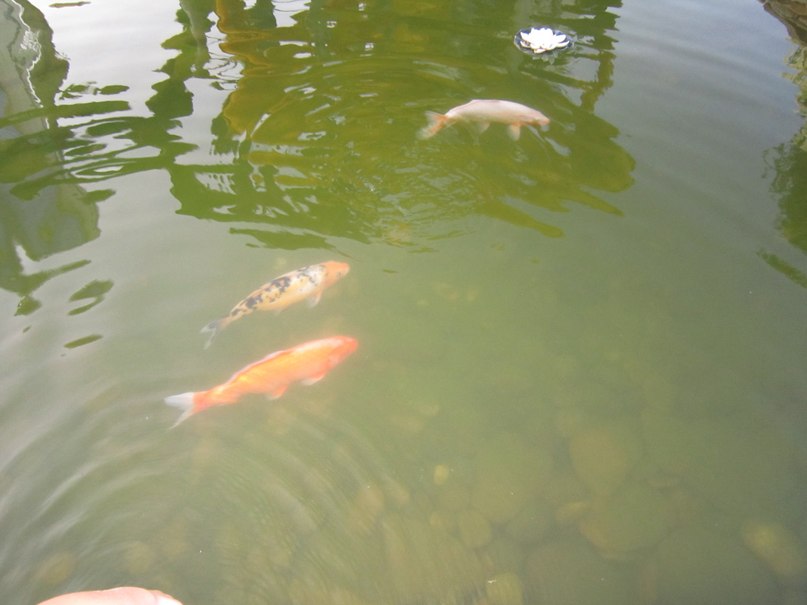 Данил Рыков фотография #15