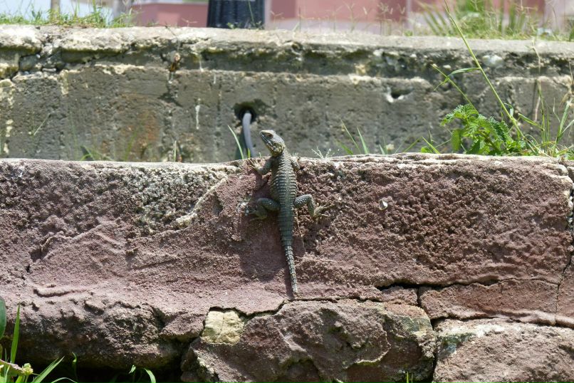 Михаил Грачев фотография #13