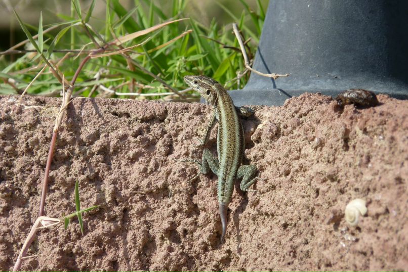 Михаил Грачев фотография #11