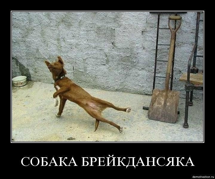 Женя Петрова фотография #6