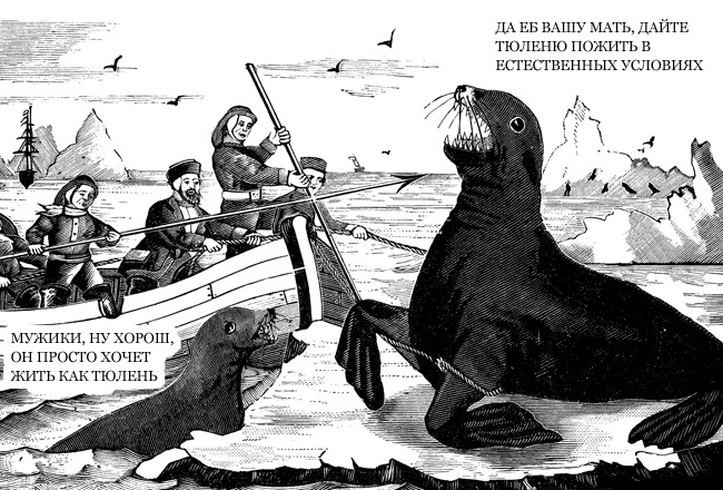 Кирилл Шкодер фотография #38