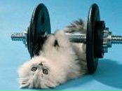 Фотография Питерова Александра