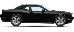 Віталік Яловий фотография #29 (источник - https://vk.com/id112693074)