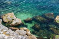 Павел Волк фотография #7 (источник - https://vk.com/id470503)