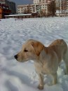 Інді Живко фотография #3 (источник - https://vk.com/id82626680)