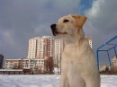 Інді Живко фотография #10 (источник - https://vk.com/id82626680)