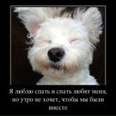 Фотография Хлыстовой Оксаны