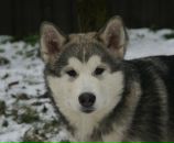 Фотография Агафоновой Анны