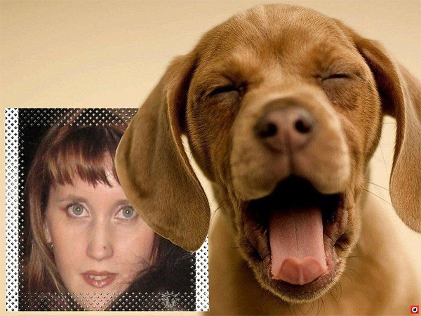 №3, Елена Аблова №3, Елена Аблова