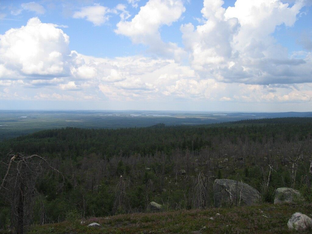 Иван Паньков фотография #24