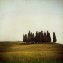 Фотография Степанова Дмитрия