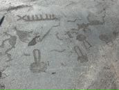 Фотография Жегловой Тамары