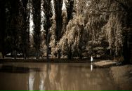 Йохан Кашпировский фотография #15 (источник - https://vk.com/id3096701)