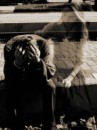 Ігор Попадюк фотография #10 (источник - https://vk.com/id37491275)