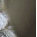 Андрій Васютин фотография #18 (источник - https://vk.com/id17618279)