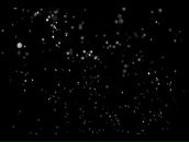 Bruce Raw фотография #25 (источник - https://vk.com/id629149)