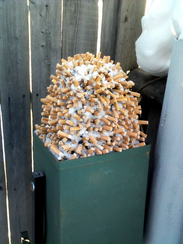 Роберт Аминев фотография #40