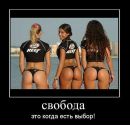 Андрій Шевчишин фотография #19 (источник - https://vk.com/id67460602)