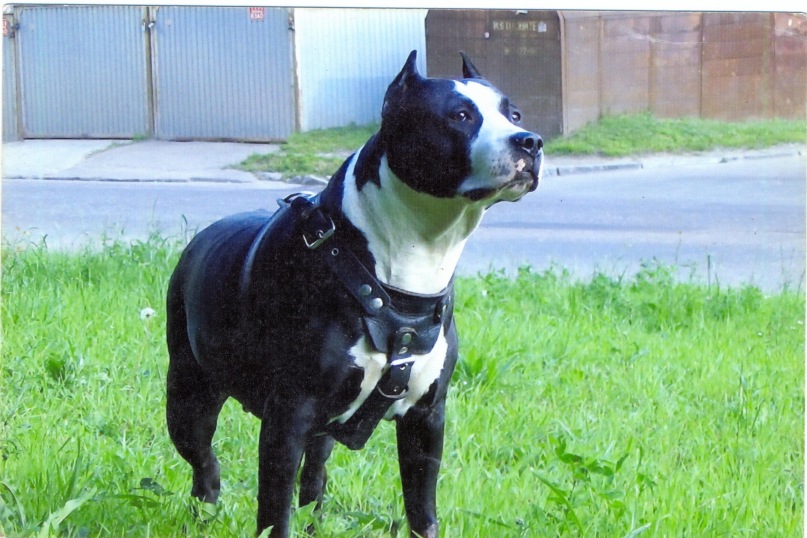 Владимир Башмаков фотография #19