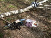 Дима Суханов фотография #20 (источник - https://vk.com/id2233701)