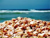 Фотография Чигиной Татьяны