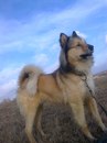 Діма Дудлей фотография #19 (источник - https://vk.com/id155980505)