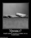  фотография #3