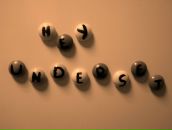 Фотография Волканова Павла