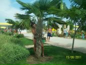 Ларіса Савчук фотография #47 (источник - https://vk.com/id72606670)