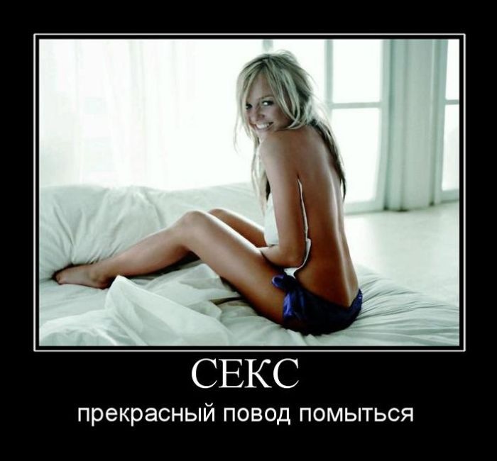 Саша Феолетов фотография #30