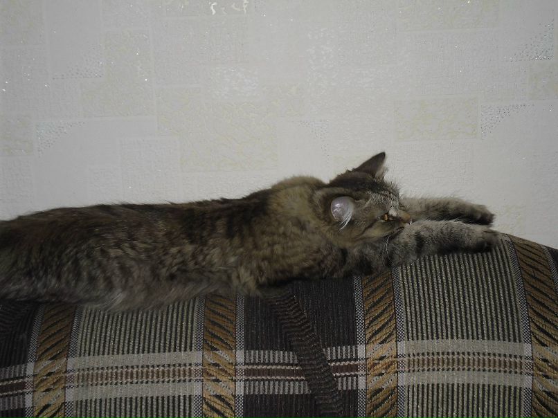 Женя Дмитриев фотография #19