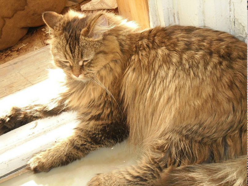 Женя Дмитриев фотография #50