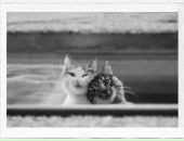 Сима Угарова фотография #46 (источник - https://vk.com/id1824811)