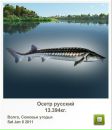 Ігор Крупела фотография #3 (источник - https://vk.com/id83319063)