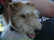 Тетяна Єськова фотография #32 (источник - https://vk.com/id2347817)