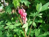 Алина Титова фотография #29 (источник - https://vk.com/id371154)