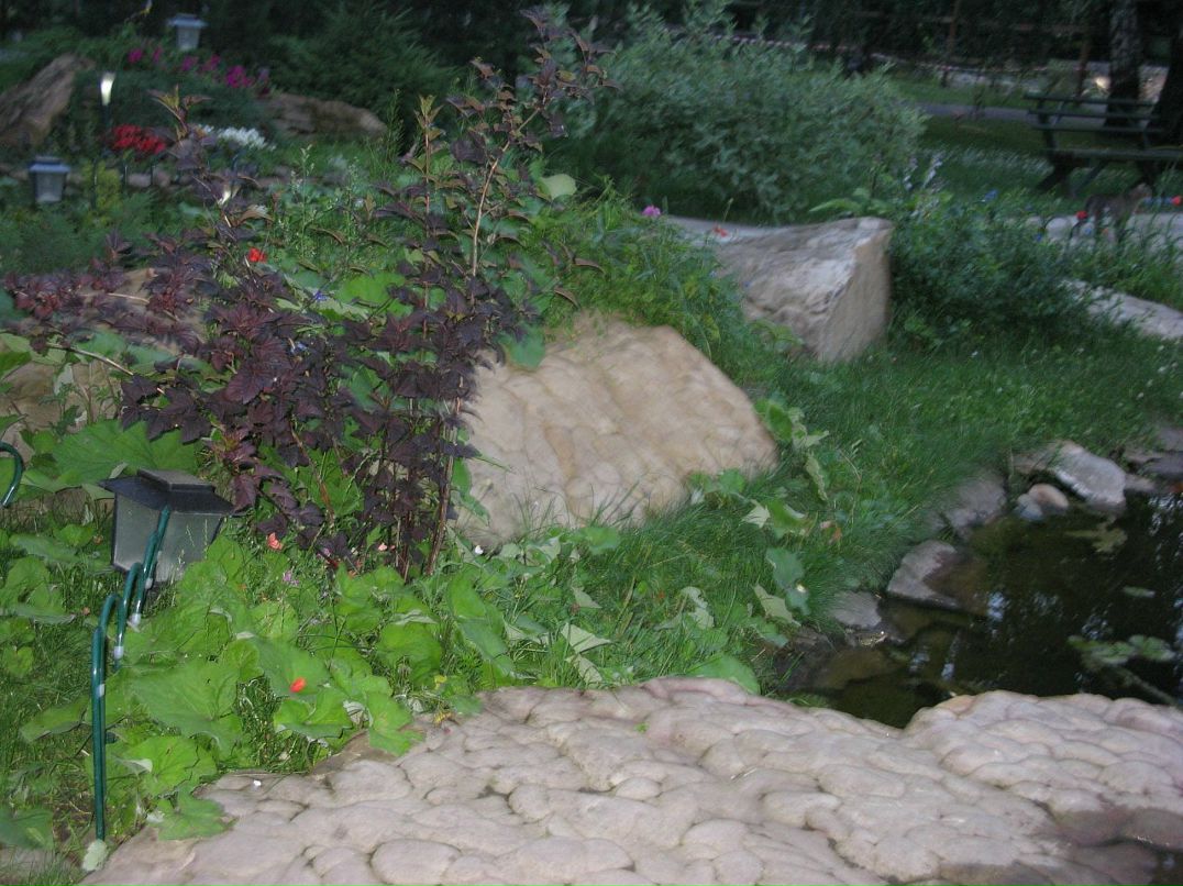 Дмитрий Ермилов фотография #44