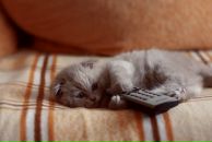 Віталік Степанюк фотография #44 (источник - https://vk.com/id121868484)