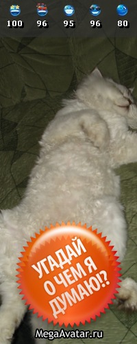 №7, Эдик Тигай №7, Эдик Тигай