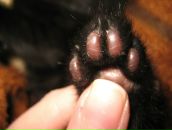 Фотография Скляровой Марии