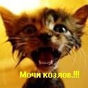 Фотография Абрамова Артёма