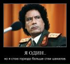 Фотография Moon Borman