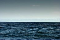 Валерія Ліванова фотография #13 (источник - https://vk.com/id16102798)