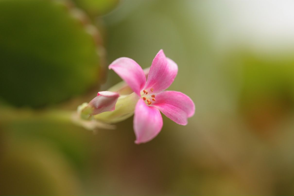 Фёдор Сумкин фотография #50