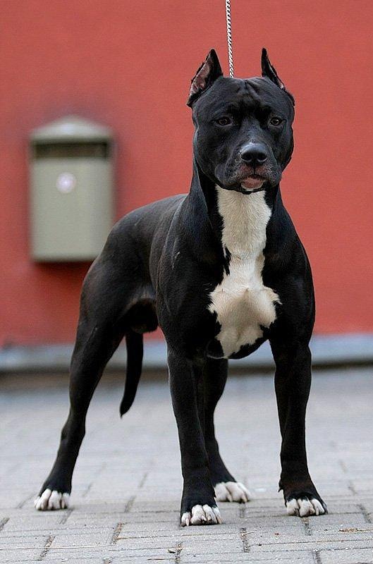 Daniil Slepchenko фотография #42